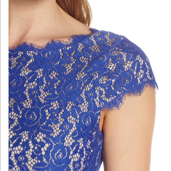 Eliza J Cap Sleeve Blue Lace Sheath Dress - Picture 3 of 5
